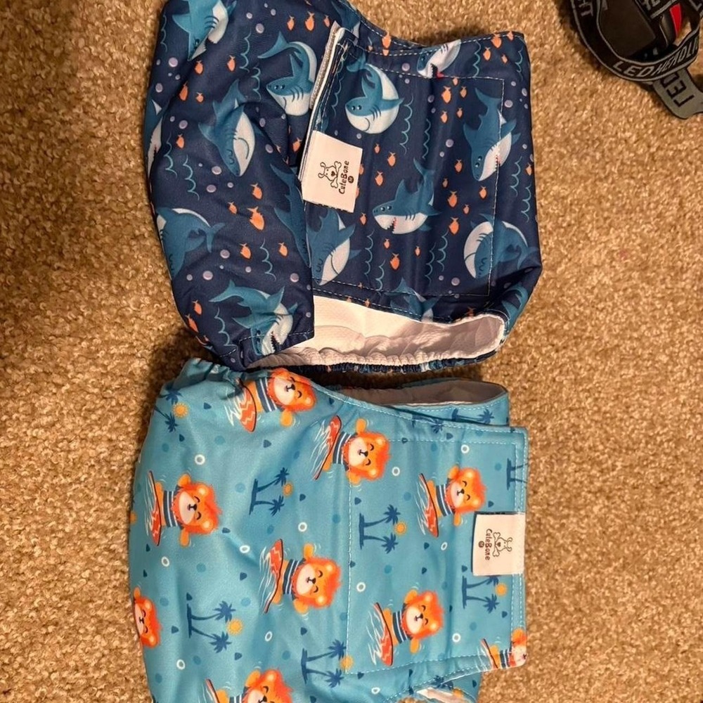 Male CuteBone Dog Diapers size M Belly band